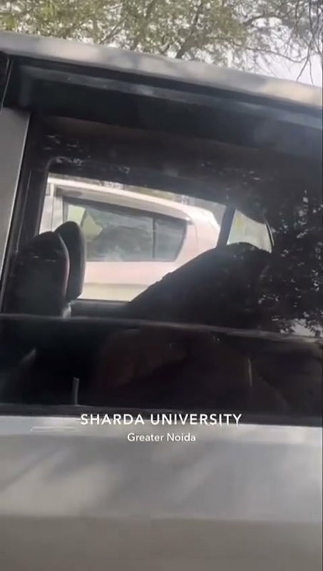 sex inside car