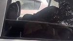 sex inside car