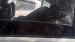 sex inside car