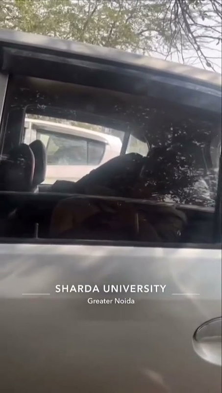 sex inside car