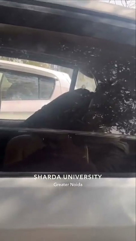 sex inside car