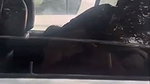 sex inside car