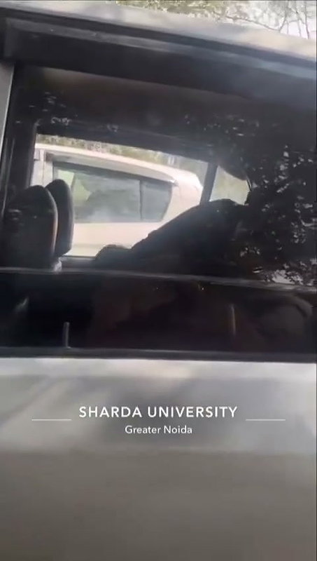 sex inside car