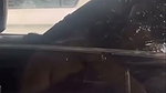 sex inside car