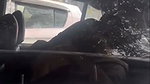sex inside car