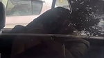 sex inside car