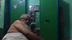 muslim uncle