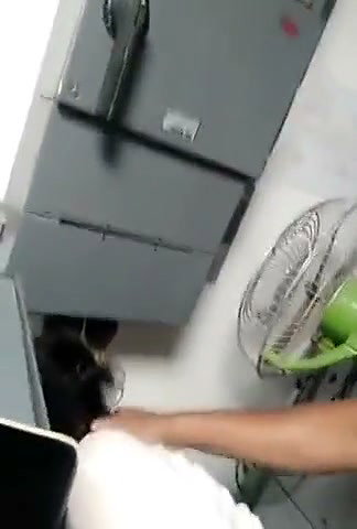 Boss fuck his employee in office