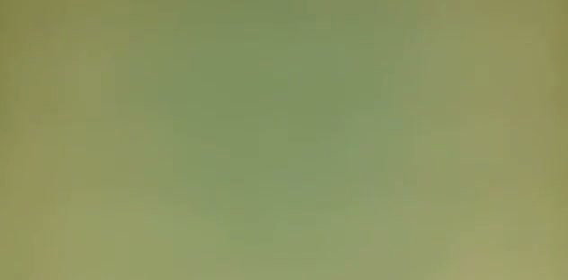 Village girl fuck with lover