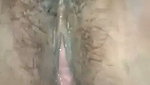 Young devar licking bhabhi pussy