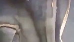 Bhabhi fuck Outdoor