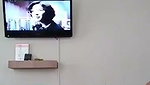 Sexy girl Blowjob her partner in hotel room