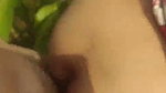Wife Blowjob fuck in field