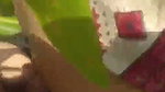 Wife Blowjob fuck in field