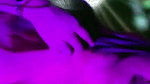honey2