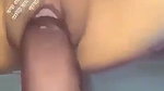 1000077264
