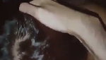 Punjabi girl Blowjob riding her lover cock
