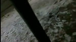 Horny college lover caught on bathroom