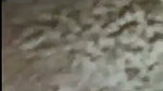 Horny college lover caught on bathroom