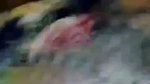 Big Boobs Indian Bhabhi Showing On Video Call