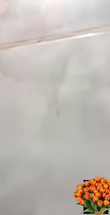 Beautiful girl show her boob on video call