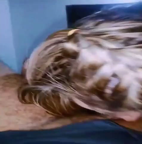 Good blowjob