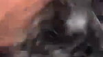 Beautiful Indian Gf Blowjob to Bf Desi Porn Videos