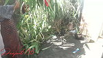 Bihar Sexy Village Aunty Outdoor sex with Lover