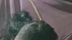 Neighbour Wife Affair Recoded
