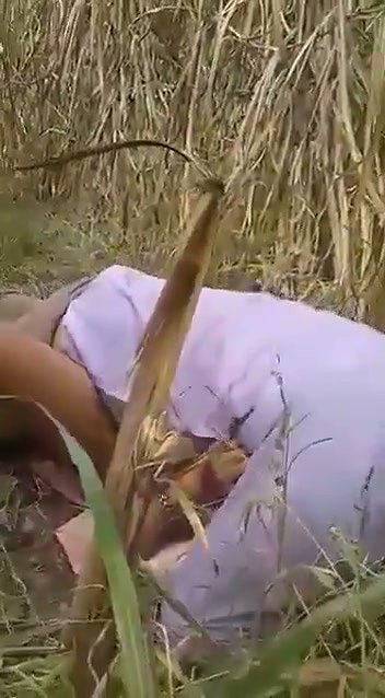 Desi bhabhi was caught by local people