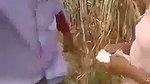 Desi bhabhi was caught by local people