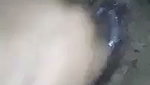 Desi girl show her boob Masturbating
