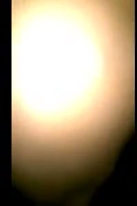 Devar try to suck bhabhi boob