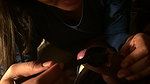 Good looking sexy girl giving Blowjob