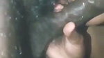 Hot wife Blowjob her husband cock