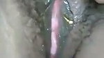 Husband seeing his wife pussy
