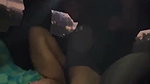 Sexy hot girl fucking in car with bf
