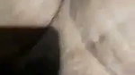 Bhabhi fucking hard with neighbour devar