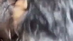 Hot wife Blowjob her lover cock
