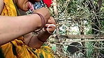 Na shreya sexy girl
