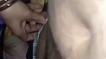 Beautiful Wife Fucking
