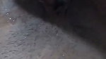 Aunty show her wet pussy  fuck