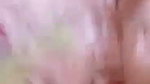 Sexy hot looking girl fuck with bf