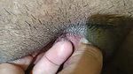Kavita Aunty Sex part 21