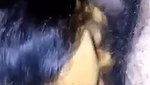 Beautiful looking girl Blowjob