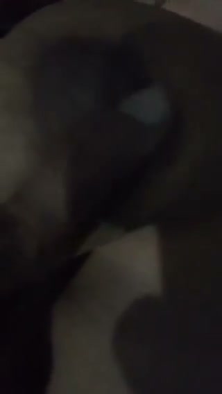 Frame 1