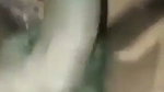 Sexy bhabhi Blowjob  fuck