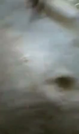 Frame 7