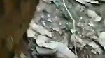 slim bhabhi fucking hard in jungle