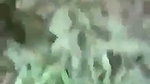 slim bhabhi fucking hard in jungle